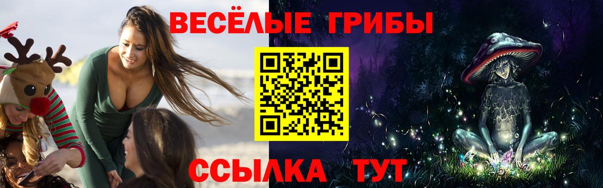 Галлюциногенные грибы GOLDEN TEACHER  Вход с VPN  Семилуки 